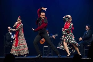 Madrid: 'Emociones' Live Flamenco Performance