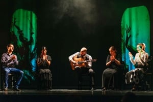 Madrid: 'Emociones' Live Flamenco Performance