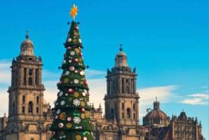 Magiske julelys – privat omvisning til fots i Mexico by