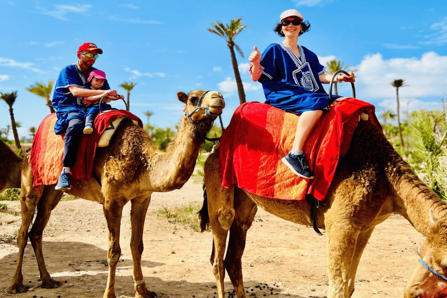 Marrakech: giro in cammello nell'Oasi Palmeraie