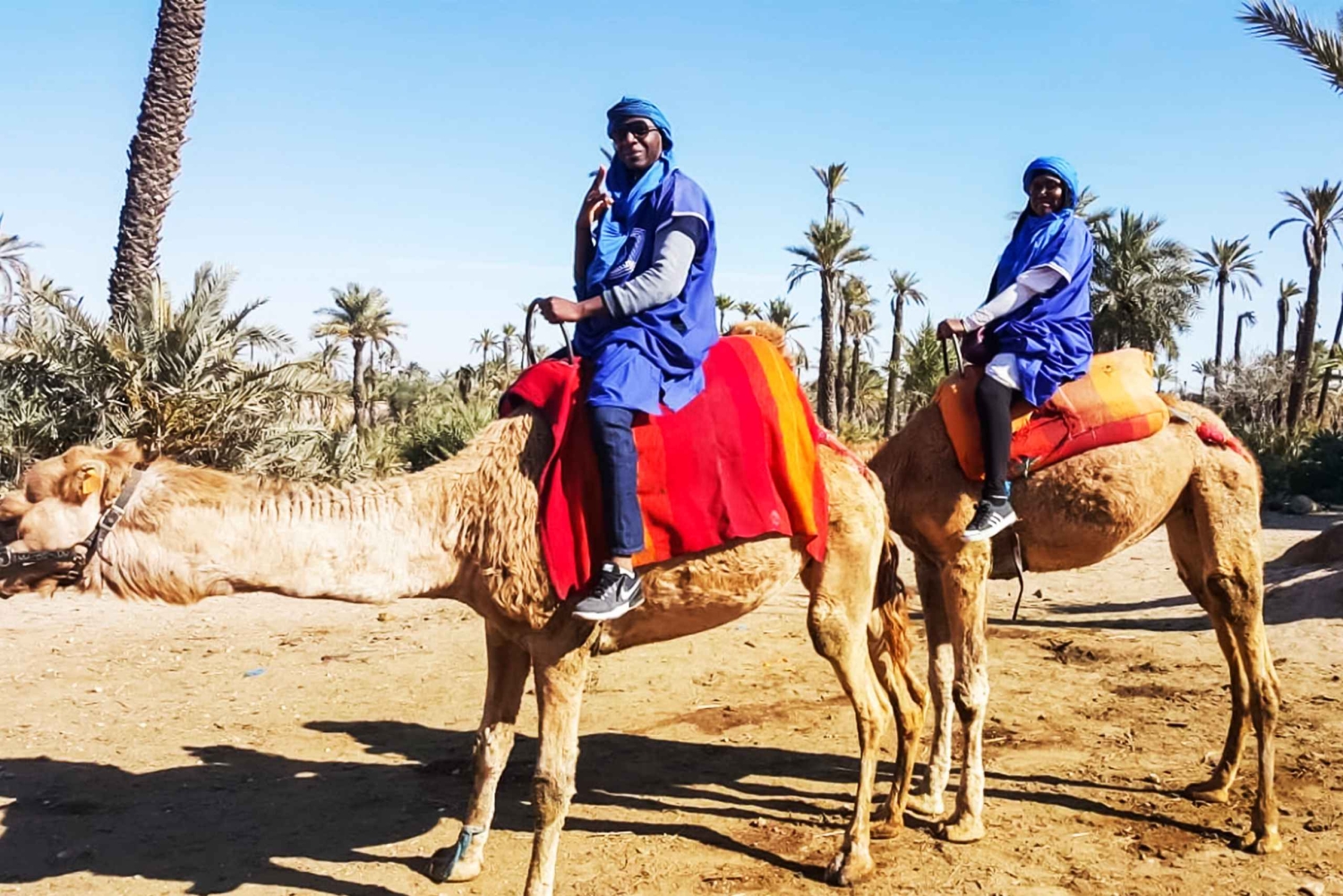 Marrakech: giro in cammello nell'Oasi Palmeraie