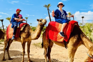 Marrakech: giro in cammello nell'Oasi Palmeraie