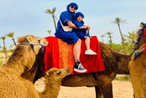 Marrakech: giro in cammello nell'Oasi Palmeraie