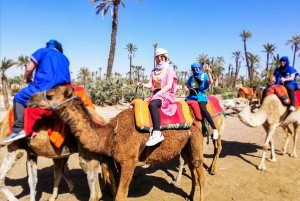 Marrakech: giro in cammello nell'Oasi Palmeraie