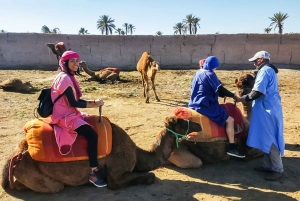 Marrakech: giro in cammello nell'Oasi Palmeraie