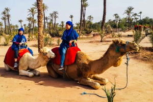 Marrakech: giro in cammello nell'Oasi Palmeraie