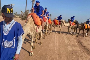 Promenade à dos de chameau dans la palmeraie de Marrakech