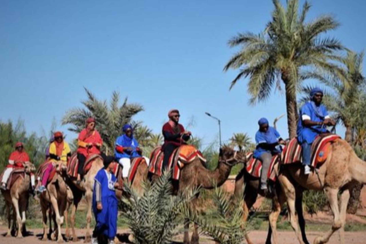 Marrakech: Camel ride in the Palmeraie oasis