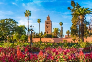 Marrakech: Camel ride in the Palmeraie oasis