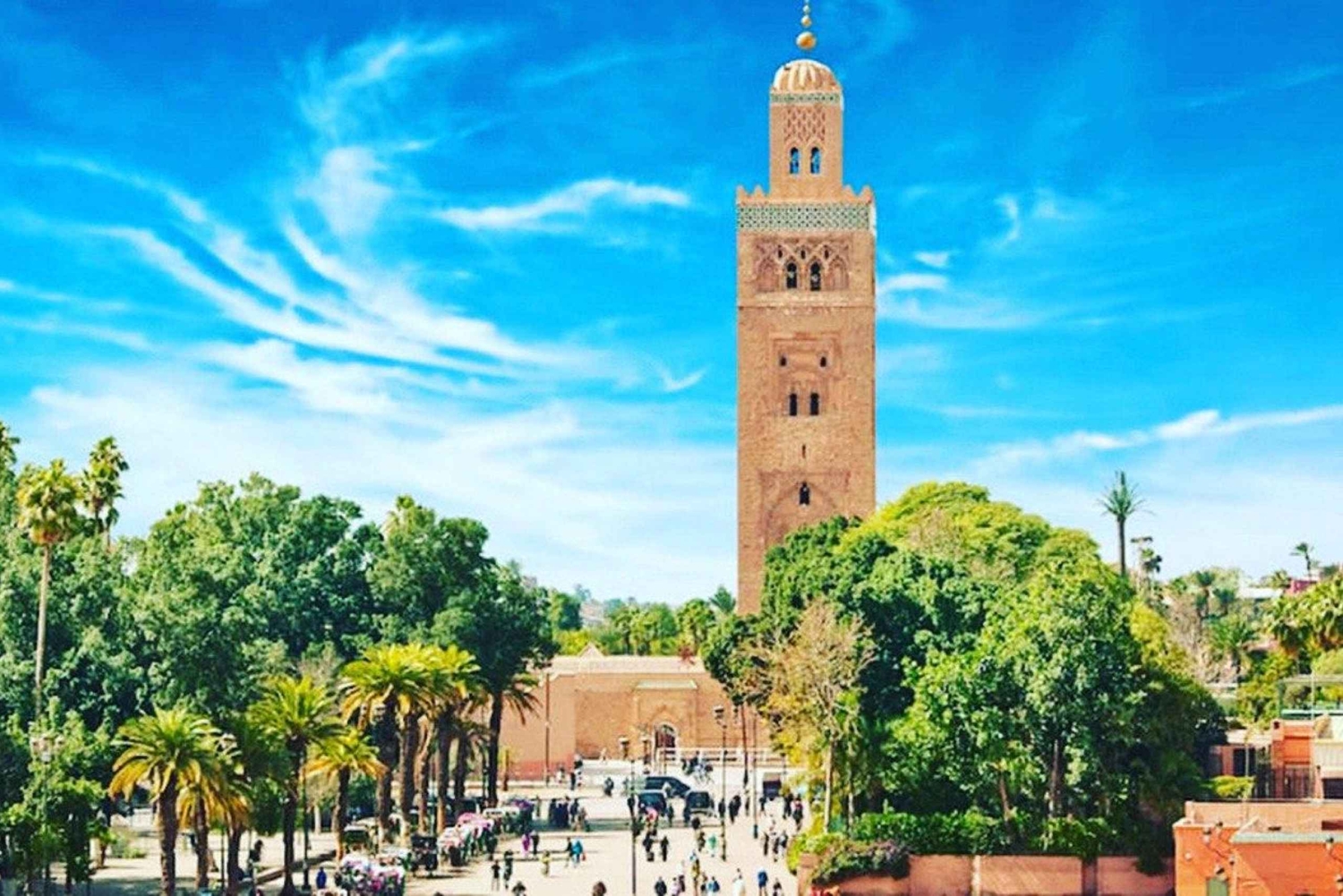 Dagtrip Marrakech met kamelenrit vanuit Casablanca