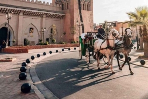 Dagtrip Marrakech met kamelenrit vanuit Casablanca