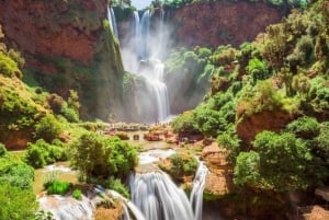 Marrakech: Guidet dagstur med båttur til Ouzoud-fossene