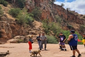 Marrakech: Guidet dagstur med båttur til Ouzoud-fossene