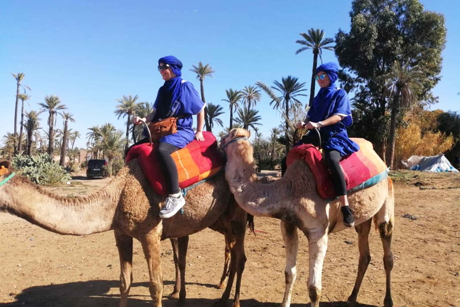 Palmeraie di Marrakech: giro in cammello ed esperienza in quad