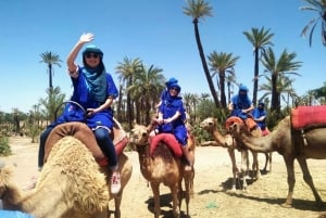 Palmeraie di Marrakech: giro in cammello ed esperienza in quad