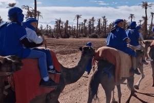 Marrakech: Palmeraie Camel Ride & Traditional Moroccan Spa