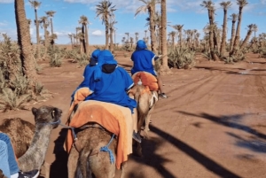 Marrakech: Palmeraie Camel Ride & Traditional Moroccan Spa