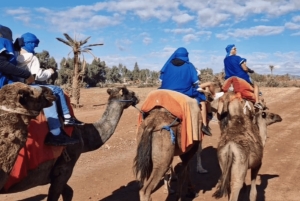 Marrakech: Palmeraie Camel Ride & Traditional Moroccan Spa