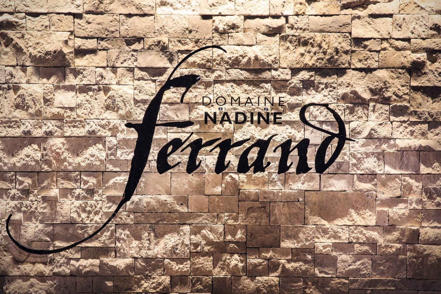 Mason: Visita e degustazione dei vini della tenuta