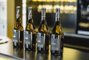 Mason: Visita e degustazione dei vini della tenuta