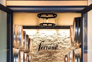 Mason: Visita e degustazione dei vini della tenuta