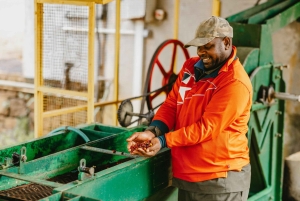 Mauritius: Chamarel Coffee Plantation Guided Tour