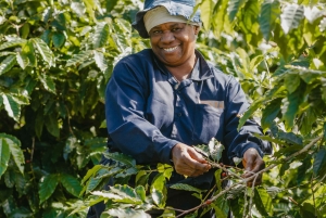 Mauritius: Chamarel Coffee Plantation Guided Tour