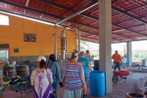 Mazatlán: Beach & Jungle ATV Tour w/ Lunch & Tequila Tasting