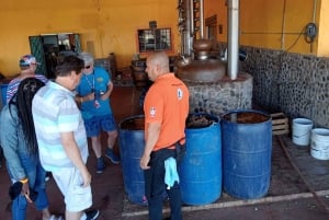 Mazatlán: Beach & Jungle ATV Tour w/ Lunch & Tequila Tasting