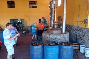 Mazatlán: Beach & Jungle ATV Tour w/ Lunch & Tequila Tasting