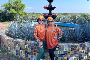 Mazatlán: Beach & Jungle ATV Tour w/ Lunch & Tequila Tasting