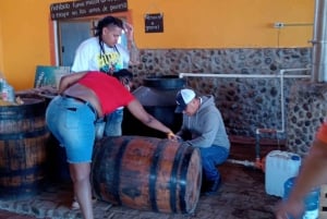 Mazatlán: Beach & Jungle ATV Tour w/ Lunch & Tequila Tasting