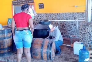 Mazatlán: Beach & Jungle ATV Tour w/ Lunch & Tequila Tasting