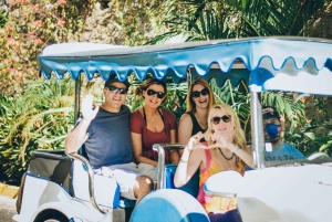 Mazatlán: City Highlights, Shopping, Tequila & Beach Club