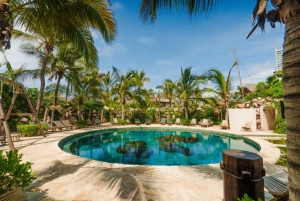 Mazatlán: City Highlights, Shopping, Tequila & Beach Club