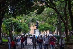 Medellín: 4-Hour Gastronomic Wonders Tour