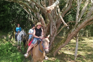 Medellín : Aventure en bateau + équitation à Santa Fe de Antioquia