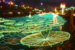 Medellin: Christmas Lights Tour with a Local Guide