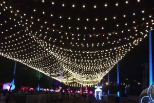 Medellin: Christmas Lights Tour with a Local Guide