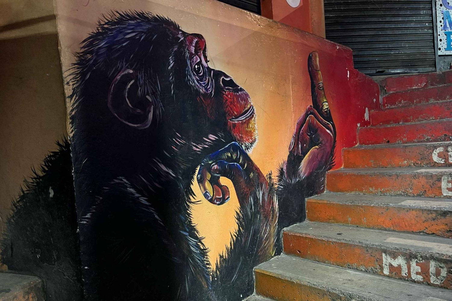 Medellín: Comuna 13 Night Tour, Paint Wall, Eat Local Snack