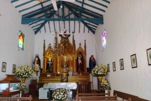 Medellín: Kulturrundtur med lunch och Commune 13