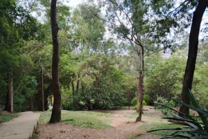 Medellín: Kulturrundtur med lunch och Commune 13