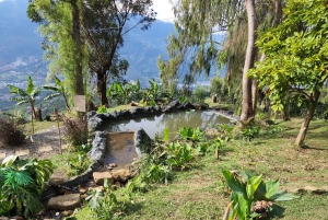 Medellin: Glamping Spa ja kahvikierros Experience