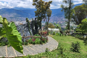 Medellin: Glamping Spa ja kahvikierros Experience