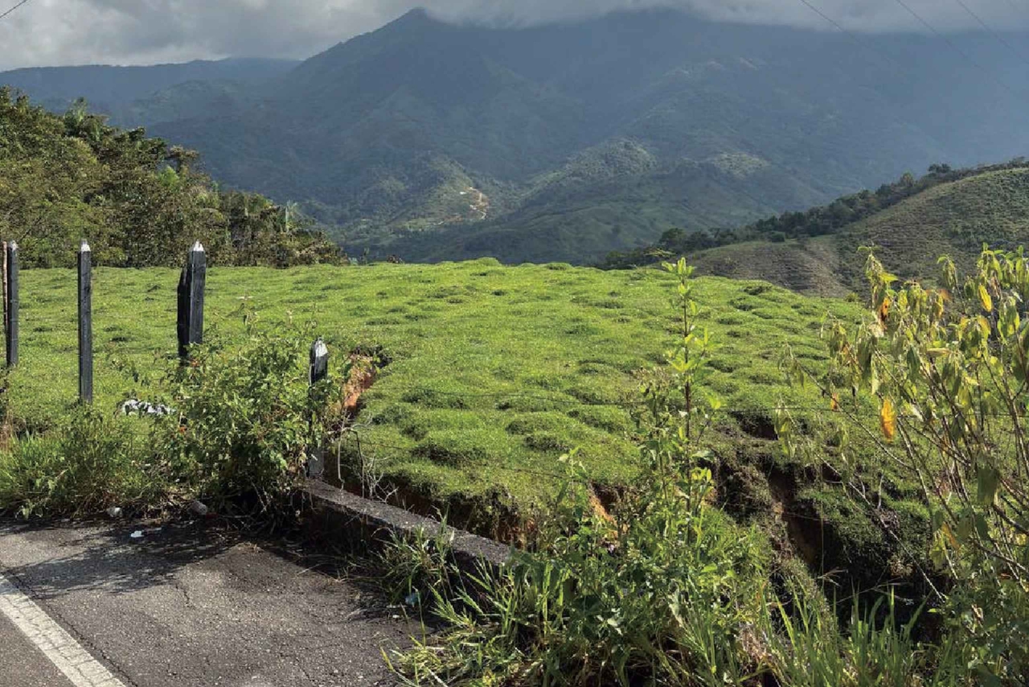 Medellín: traslado puerta a puerta a Guatapé y Medellín.