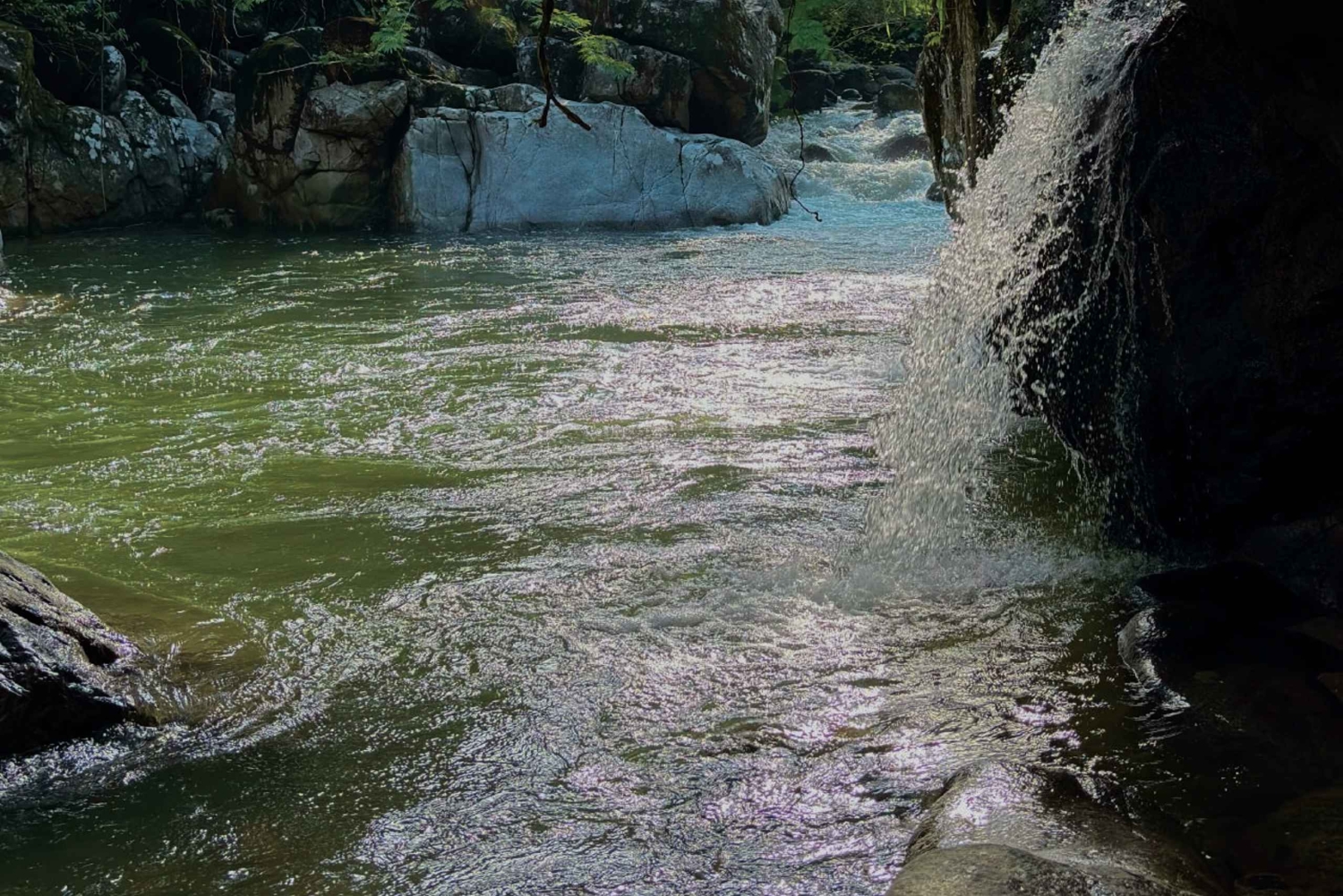 Medellín: traslado puerta a puerta a Guatapé y Medellín.