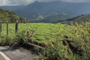 Medellín: traslado puerta a puerta a Guatapé y Medellín.