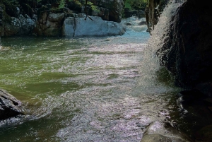 Medellín: traslado puerta a puerta a Guatapé y Medellín.