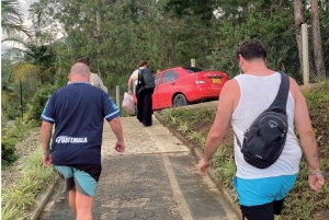 Medellín: traslado puerta a puerta a Guatapé y Medellín.