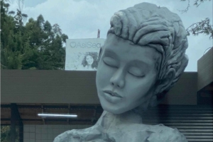 Medellín: traslado puerta a puerta a Guatapé y Medellín.